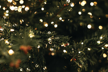 Green branches of a Christmas tree decorated with sparkling golden garlands lights. Festive details...
