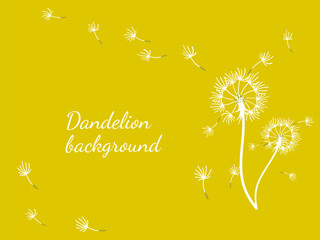 Abstract dandelion background design, great design for any purpose. Natural beauty. Brochure layout template background. natural wind. Spring banner.