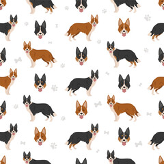 Welsh Sheepdog seamless pattern. All coat colors set.  All dog breeds characteristics infographic