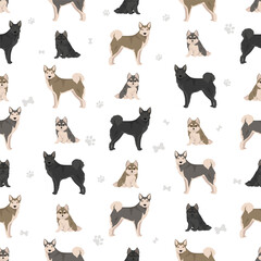 West Siberian Laika seamless pattern. All coat colors set.  All dog breeds characteristics infographic
