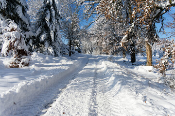 View of a Bavarian winter landscape with lots of snow, blue sky with clouds on a cold winter day