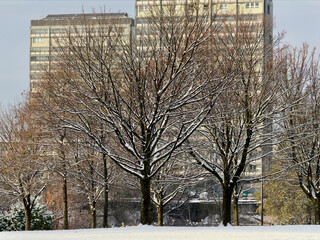 View of high rise flats in the Gorbals from Glasgow Green park during the winter