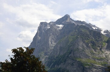 Pico de Wetterhorn desde Grindelwald, Cantón de Berna, Suiza