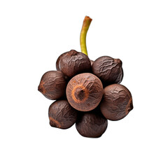 Cubeb Pepper isolated on transparent background