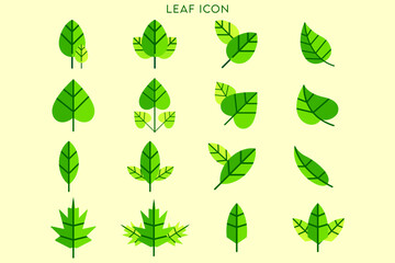 set of leaves, set of green leaves, collection of green leaves