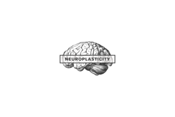 Neuroplasticity Word, Banner and Concept Image