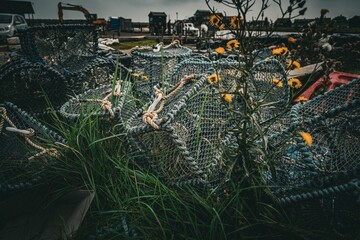 several lobster traps piled together with grass near by vehicle on dirt road