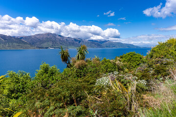 Lake Wanaka on the South Island Of New Zealand