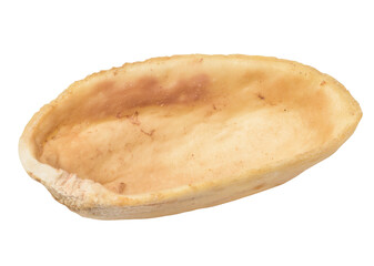 Empty shell of roasted pistachio on a white isolated background