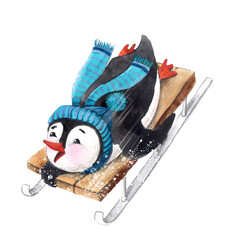 A cute penguin sledding  © elena
