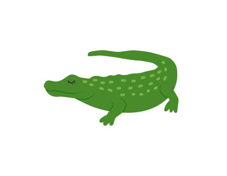 Cartoon alligator animal isolated on white. Cute reptile character, vector crocodile zoo icon, wildlife poster.