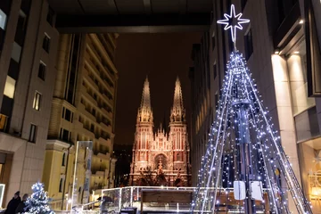 Fototapeten The St. Nicholas Roman Catholic Cathedral in Kiev, Ukraine. Christmas tree on winter evening. © Natalia