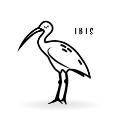 Cartoon ibis bird animal isolated on white. Cute character icon, vector zoo, wildlife poster.