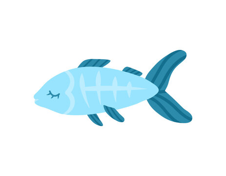 Cartoon x-ray fish animal isolated on white. Cute character, vector zoo, wildlife poster.