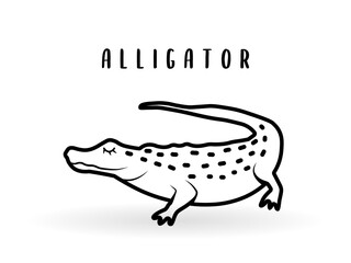 Cartoon alligator animal isolated on white. Cute reptile character icon, vector crocodile zoo icon, wildlife poster.