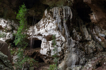 A cave in national park Los Haitises. Samana Gulf, Dominican Republic