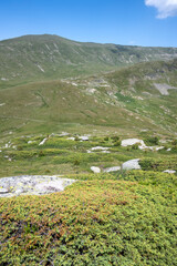 Summer Landscape of Rila Mountain near Kalin peak, Bulgaria