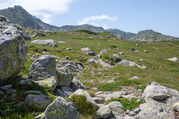 Fototapeta na wymiar Summer Landscape of Rila Mountain near Kalin peak, Bulgaria