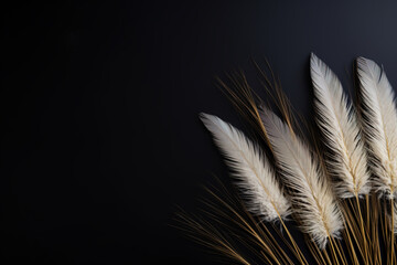 Striking contrast of delicate white pampas grass plumes against a deep black background, offering a...
