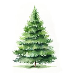 a painted christmas tree on a white background,