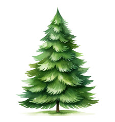 Obraz premium a painted christmas tree on a white background,