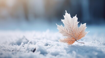  a picture of a picture of a picture of a picture of a picture of a picture of a picture of a picture of a picture of a picture of a picture of a picture of a picture.