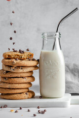 Chocolate Cookies and Milk