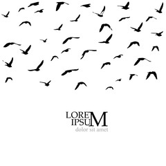 Flying birds silhouette flock. hand drawing. Not AI, Vector illustration