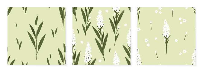 White flowers with leaves on a light green background. Set of three gentle seamless vector patterns.	