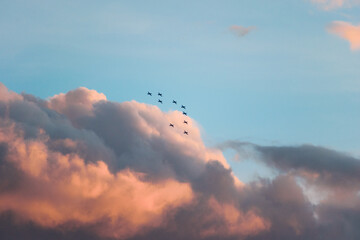 Aviones en grupo sobrevolando las nubes iluminadas por el atardecer