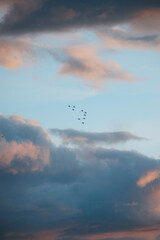 flotilla de aviones mililtares