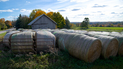 Obraz premium Bale of hay on a farm field in autumn