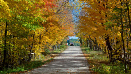 Fototapeta na wymiar Car on a country road with autumn leaf colour