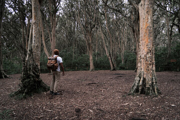 Lonely man in a desolate forest, love of nature