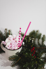 christmas candy canes,Cappuccino with marshmallow in mug and fir-tree branches on white table