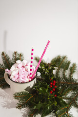 Cappuccino with marshmallow in mug and fir-tree branches on white table