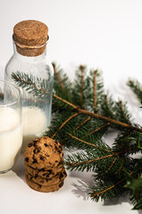 milk and cookies on the white against the backdrop of the Christmas tree, a treat for Santa Claus, Christmas traditions.