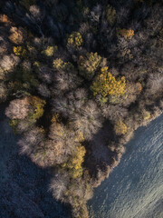 Winter forest - drone view