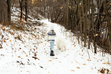 Selective focus back view of little blond girl in winter clothes walking with her samoyed dog in...