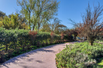 Empty public park in Ifran, Morocco