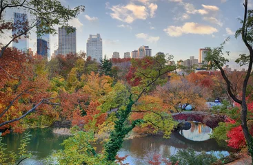 Stickers pour porte Pont de Gapstow Central Park at autumn, NYC
