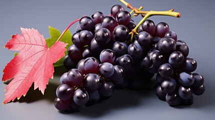 Fototapeta premium Black grapes bunch UHD wallpaper