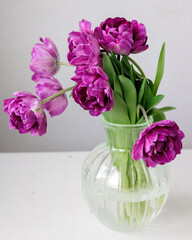 Close up of bouquet of dark red lilac tulips in glass vase on light background. flower bouquet in vase on table. Gift interior decoration. florist, decorator. Flower shop.