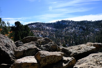Fototapeta na wymiar Lincoln National Forest in New Mexico