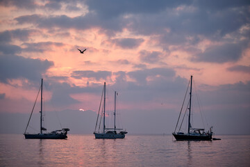 A group of sailboats rests during sunrise on the coast of Peñiscola.