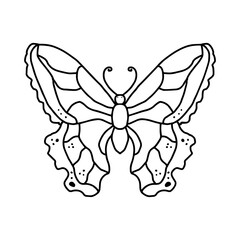butterfly isolated on white,vector coloring page