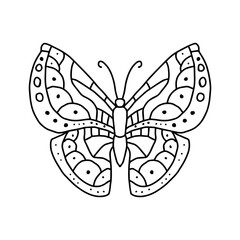 butterfly isolated on white,vector coloring page