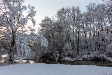 Snow-covered trees on the shore of fast flowing river in winter