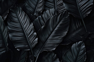 black leafs background