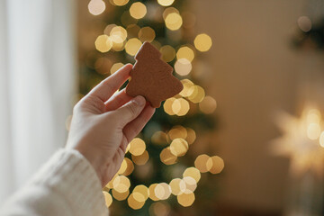 Hand holding christmas tree gingerbread cookie against festive decorated tree with golden lights...